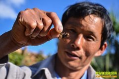 ������׬Ǯ���������ƽ����Խ�����������¸�