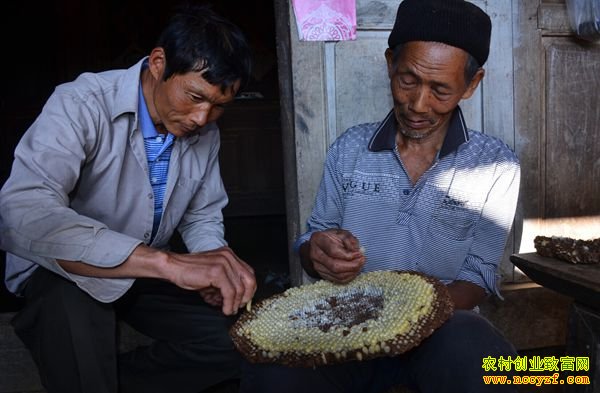 ������׬Ǯ�����ϵº��������ƽ����Խ�����������¸�