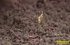 ��������������򾣺��������������������򾼼��