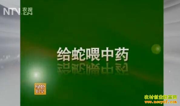 [��ɫʱ��]Ԭ�б����ι��ι��ҩ,��������Ч�淭��