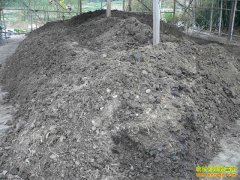 [�Ƽ�Է]����ӹ���Ƶ�����ൽ��ȥ������