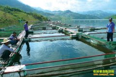 ������ˮ̲���ƻ�����ѩ������ˮ����ֳ���������¸�