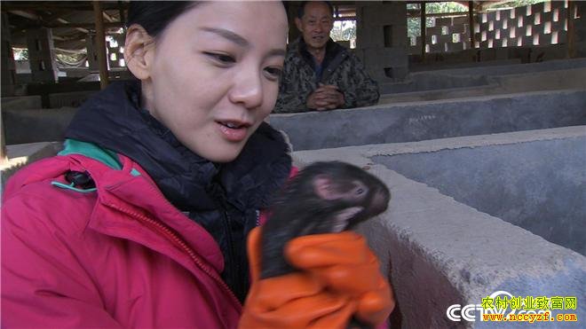 [�¸���]����ɣֲ��ǰ��:���������ľ�����Ƹ�