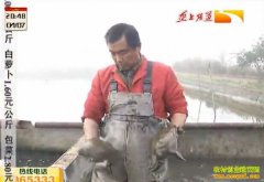 �����������׬Ǯ������۸��µ� �����㻹��Ǯ׬��