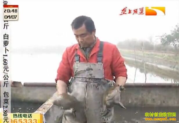 ����ÿ���20Ԫ ����Ǯ׬��