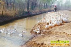 ����׬Ǯ��ɽ���������ú����������ҵ������ֳ�̻�