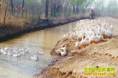 ����׬Ǯ��ɽ���������ú����������ҵ������ֳ�̻�