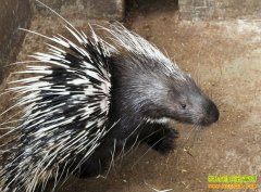 �����۸񣬺����������Ǯһ�