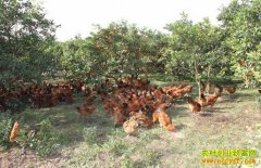 ����������׬Ǯ������������׬Ǯ������