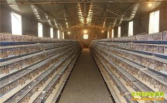 ������׬Ǯ����10000ֻ������ҪͶ�ʶ���Ǯ