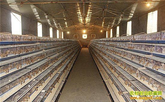 ������׬Ǯ����10000ֻ������ҪͶ�ʶ���Ǯ