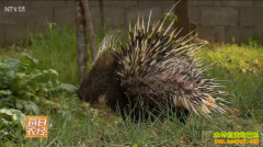 [ÿ��ũ��]������׬Ǯ������ƫ�������Ǵ̵ĺ���