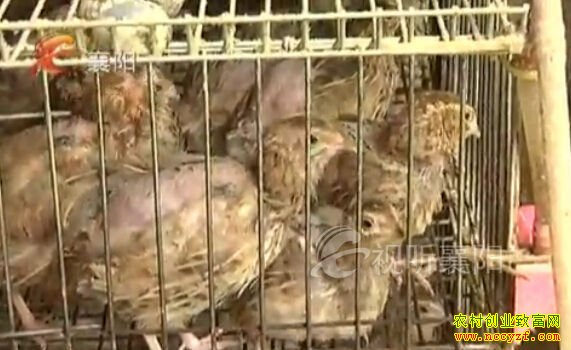 ������׬Ǯ��������������ȫ�����ȴ�ҵ���ɴ��ҵ