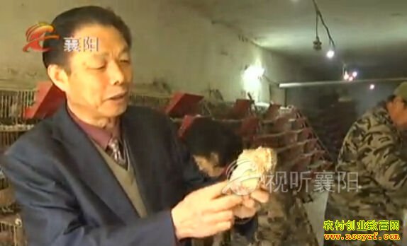 ������׬Ǯ��������������ȫ�����ȴ�ҵ���ɴ��ҵ