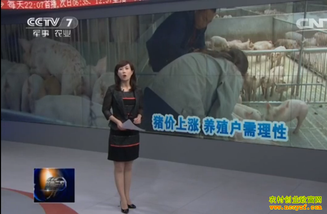 [�۽���ũ]�������� ��ֳ���������Կ���