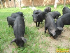 �㽭�����غ����ô�ҵ��ֳ���������¸�