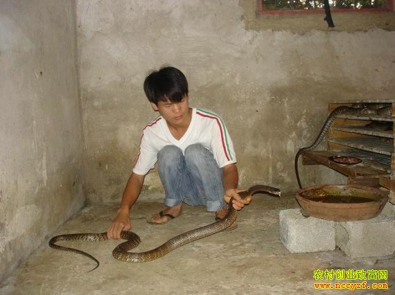 ����׬Ǯ������ǰ�����������߳ɱ����������