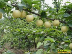 [ũ�����]�ƹ����������༼����Ƶ