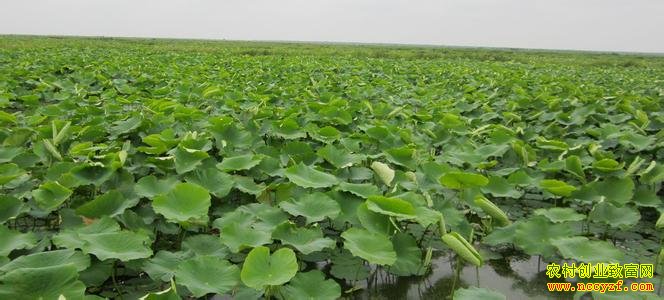 ��ź��ôʩ�ʣ���źʩ�ʼ���Ҫ��