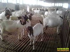 ��������׬Ǯ����������۵� �����������ⲻ��