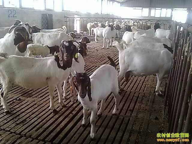 ��������׬Ǯ����������۵� �����������ⲻ��