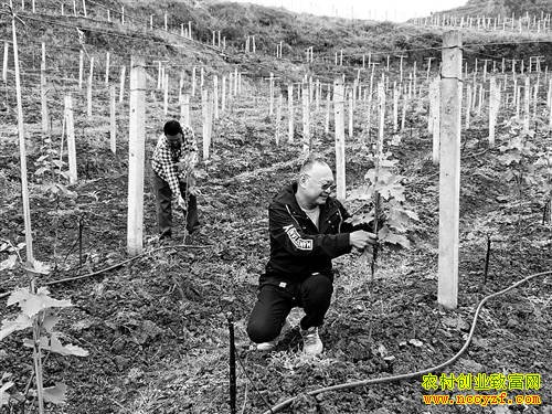 �˹⻪���������ֳ������Ѿ��ǲ�һ��