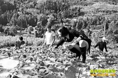 ���ȳ̿���ݮ��ժһĶ����5000Ԫ