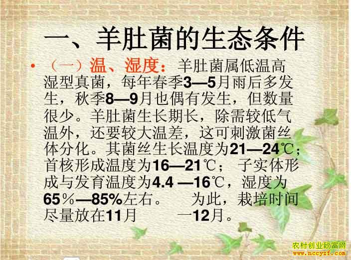 ��Ǿ���������������ѧ���� 