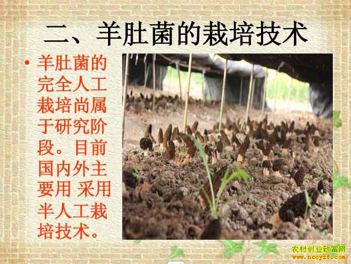 ��Ǿ����༼��