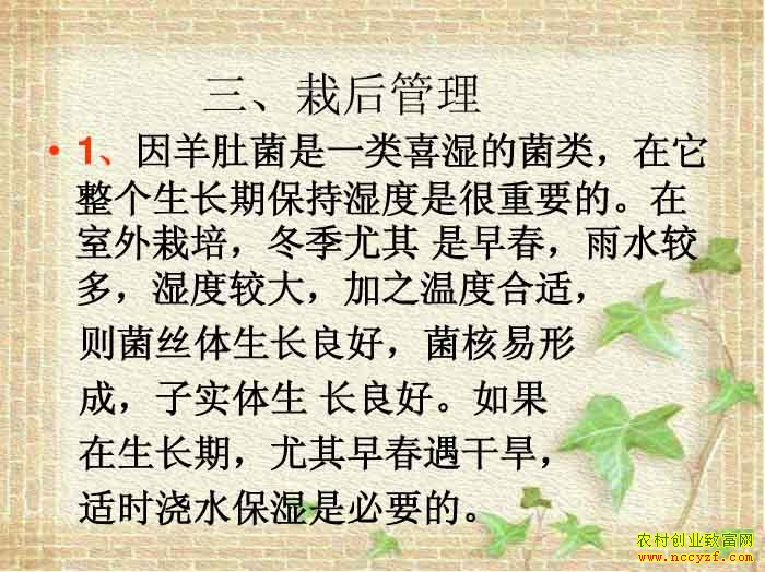 ��Ǿ�������ڵĹ�������