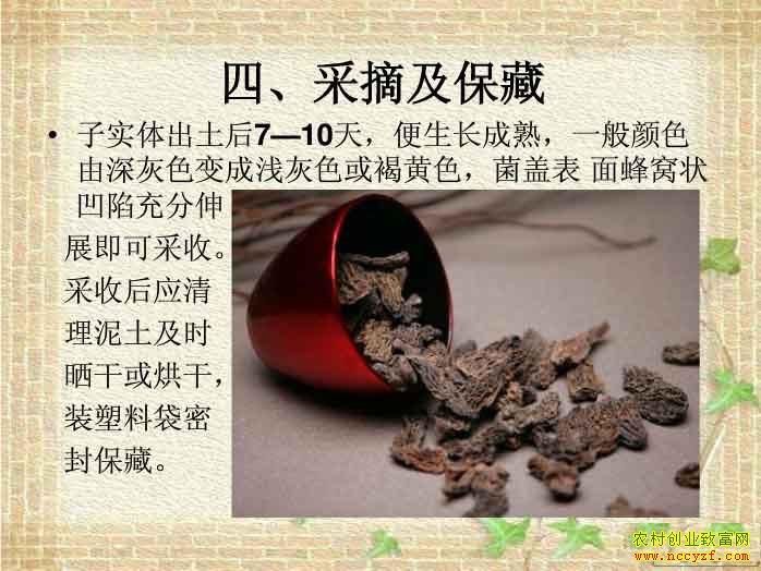 ��Ǿ���ժ������