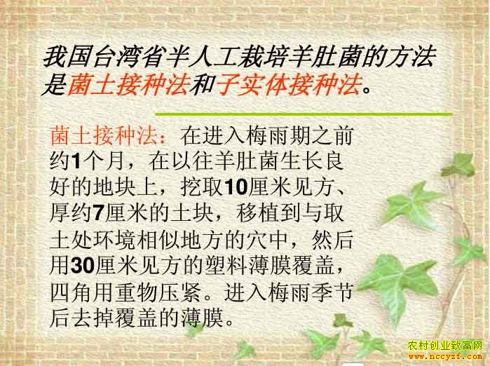 ��Ǿ����˹����෨ �������ַ�