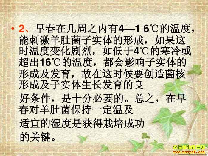 ������ֲ��Ǿ���ͼ����Ǿ���ֲ����