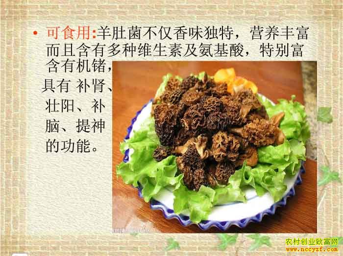 ������ֲ��Ǿ���ͼ����Ǿ���ֲ����