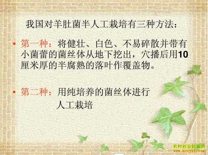 �˹���Ǿ���ֲ������һ��