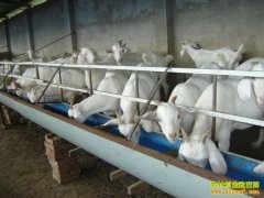 ɽ���ʳ������������������40����Ԫ