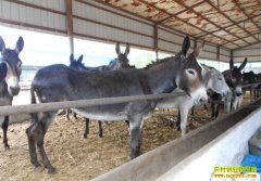 �ӱ�����ʯ������¿׬Ǯ �������������¿��ֳС��·