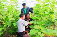 �����������԰��ġ����Ѵ�ЧӦ��