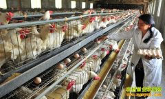 [�۽���ũ]������ֳ���������ǹ���