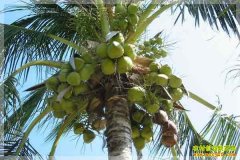 [ÿ��ũ��]����ɳ̲������Ҭ������׬Ǯ