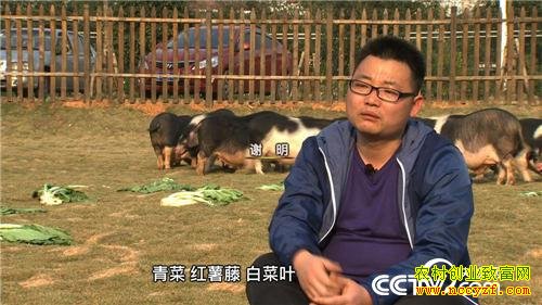 �¸�������������������׬Ǯ