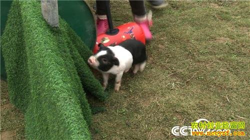 �¸�������������������׬Ǯ