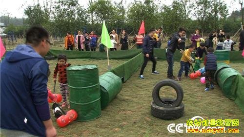 致富经:他花样养花猪好赚钱