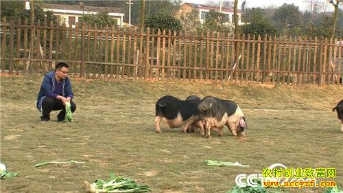 �¸�������������������׬Ǯ