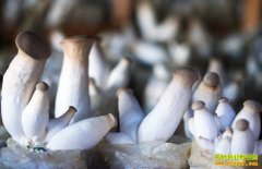 ���պϷ�������δ�ҵ���������ӱ�����ҵ�¸�