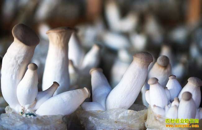 ���պϷ�������δ�ҵ���������ӱ�����ҵ�¸�