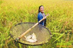 [�Ƽ�Է]һ��ˮ����������