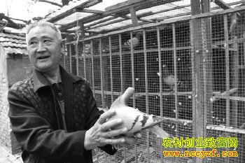 ���Ÿ�׬Ǯ��ɽ��������Ѯ�Ϻ����������Ÿ���׬10��Ԫ