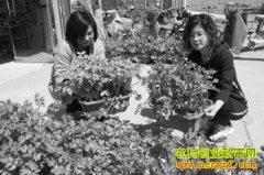 �����߲��̻����޳�ũ���¸�����Ŀ