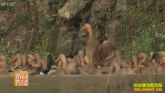 [ÿ��ũ��]�Ĵ����س����ʵ�Ѽ�Ӽ۸�ͬ